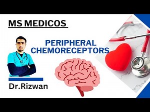 Peripheral Chemoreceptors | Role in Respiratory Regulation | Medical Lecture for NEET, USMLE, PLAB