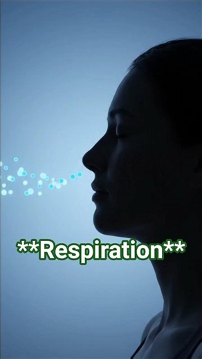 Breathing ≠ Respiration ⚡Your cells make energy from food every second!Watch how ATP is made 👇
