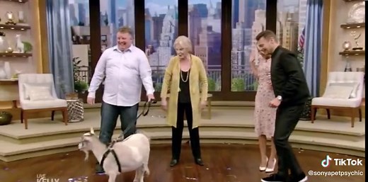 Sonya Fitzpatrick Pet Psychic Animal Communictor on Kelly and Ryan part 2. Pooping Goat!