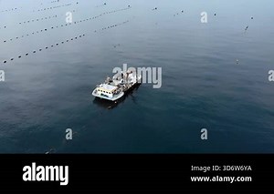 research vessel over calm aquaculture grid, scientists conducting sampling and instruments deployment, orderly