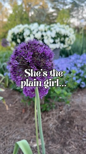 12K views · 307 reactions | Drop a  in comments if you love the...