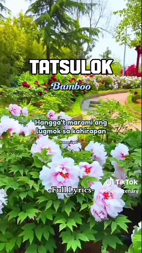 Tatsulok by Bamboo | Song Lyrics Video