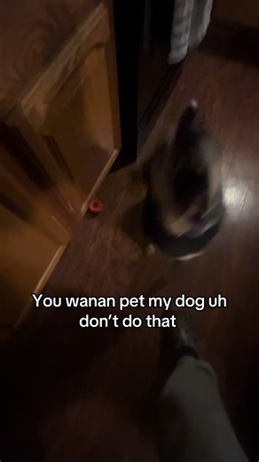 Bitting list #trending #fyp #viral #country #dogs