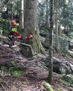 Thanks to Tony Petit | Forestmachinemagazine