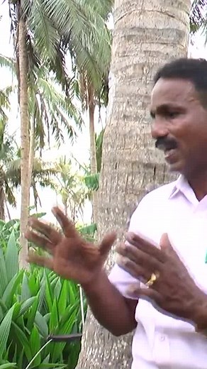 Coconut tree climbing machine!!தென்னை மரம் ஏறும் இயந்திரம்! | பசுமை பூமி தென்னை ஆராய்ச்சி மையம்