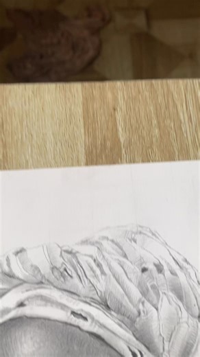 Commissioned drawing made with Charcoal graphite pencil. #art #portrait #pencildrawing #fblifestyle #reelsvideo | IKORM CREATIVE HANDS