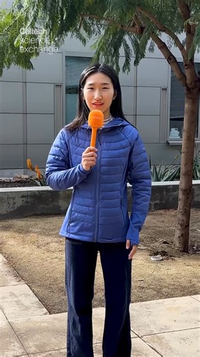 Caltech | In this Winter Olympics edition of #AskCaltech, Caltech student Olivia Wang explores the physics of figure skating and explains why skaters... | Instagram