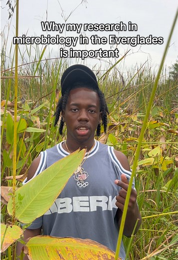 Importance of Microbiology Research in the Everglades