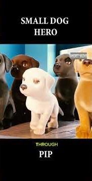 Tiny Guide Dog #DogStory #inspiringstory