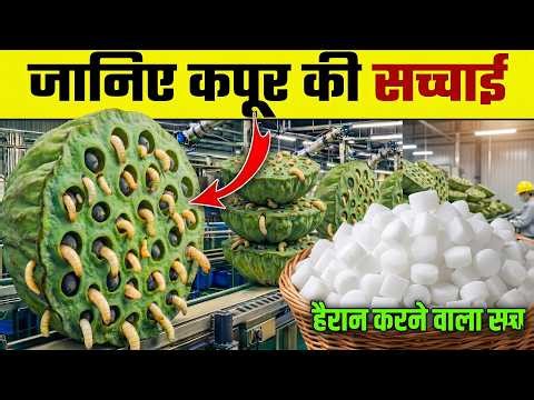 कपूर और हींग कैसे बनते हैं फैक्ट्री में 😲 Camphor & Asafoetida Manufacturing Process How It's Mad