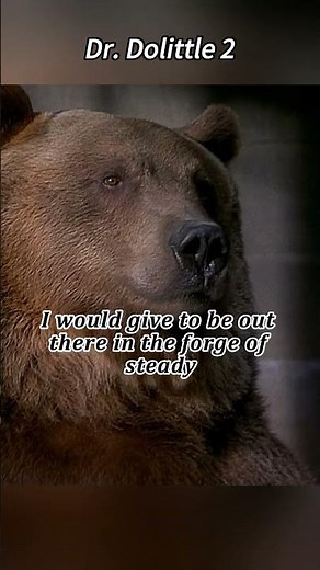 Funny Scene From Dr. Dolittle 2: The Two Bears Chat About Their Boring Life#shorts