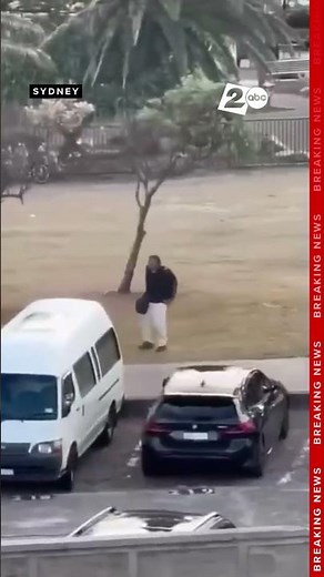 "Genuine hero" seen disarming gunman during deadly shooting rampage at Bondi Beach in Australia