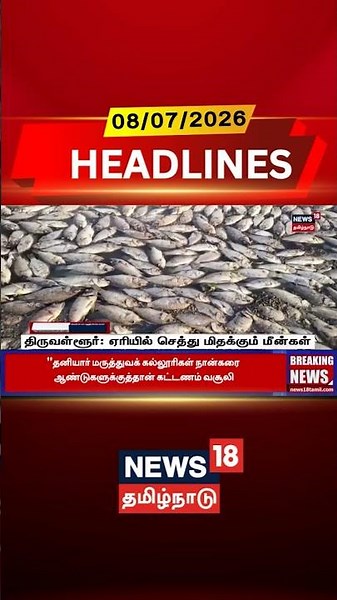 Thiruvallur | Fish Death | Lake Pollution | Environment திருவள்ளூர்: ஏரியில் செத்து மிதக்கும்மீன்கள்