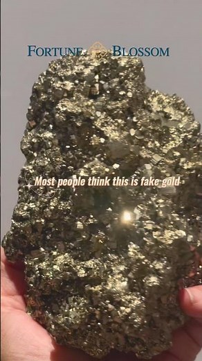 Pyrite Crystal | The Natural Mineral That Looks Like Gold | Fortune Blossom