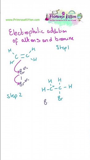 Electrophilic addition of alkene and bromine | organic chemistry mechanism revision