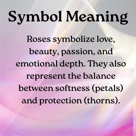 Shelkay Symbol Series: Rose