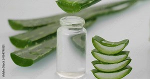 Composition of aloe vera. Concept of beauty cream derived from Aloe, natural medicine and care for the body due to its therapeutic properties, lifting, rejuvenation and Nature