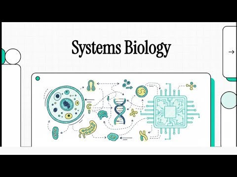 An Introduction to Systems Biology