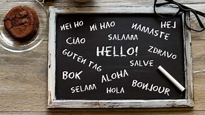 Our languages, a national resource, in 'terminal decline'