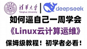 Linux系统操作零基础入门到精通全体教程，全程通俗易懂，新手学完即可就业！Linux系统操作/Linux运维/Linux学习路线
