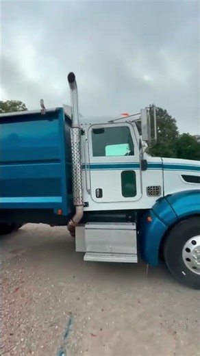 2010 PETERBILT 386 For Sale