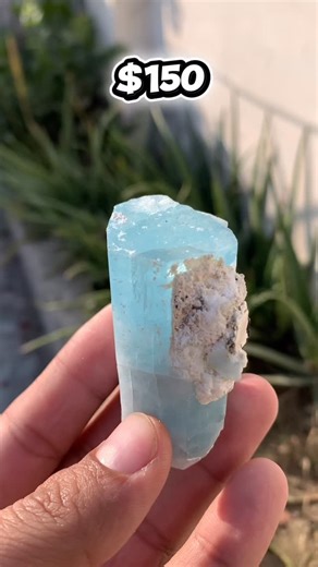 Radiant Gems on Instagram: "Aquamarine spacemen from shiggar valley skardu .perfect termination elegance sky blue coloure indication in one crystal Combination of tourmaline sprinkles and field spare mother rocks Collector aquamarine from shiggar valley Available for sale #aquamarine #crystal #mineral #gemstones #jewelry"