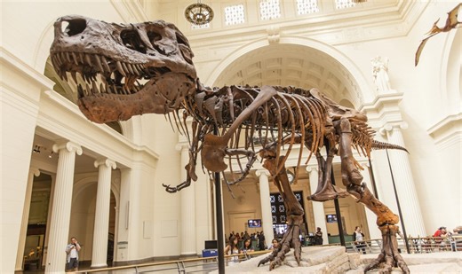 Free Chicago Museum Days: Here’s when and where