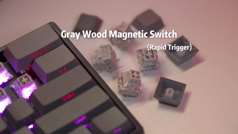 Aula WIN60 HE - 60% Mechanical Gaming Keyboard Wired, Hall Effect Magnetic Switch Hot Swappable,8000 Hz Polling Rate, RGB Keyboard 60 Percent Compact Design for PC (Gradient Pink)