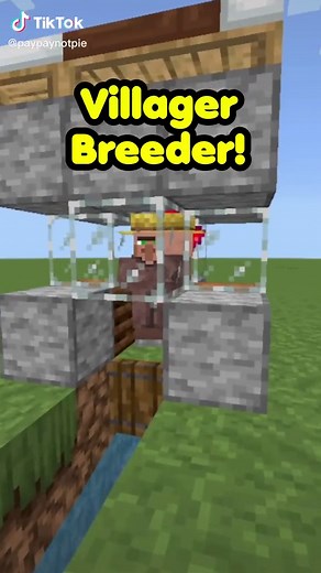 Minecraft Villager Breeder Guide