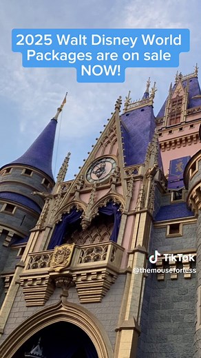 2025 Walt Disney World Vacation Packages Available!