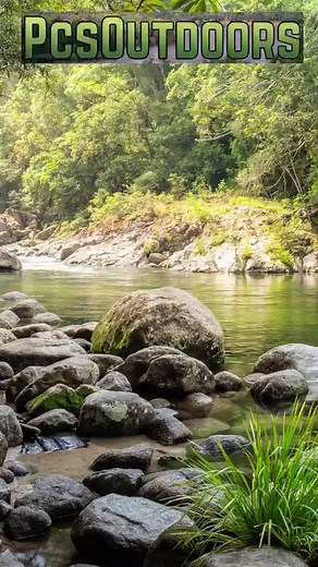 Can't wait to se everyone at the 65th Annual NTA Convention July 25-27, 2024 W.H. Lyon Fairgrounds 100 North Lyon Blvd Sioux Falls, SD 57107 Come on out and see us!!! #trapping #trappers #NTA #nta2024 | PcsOutdoors