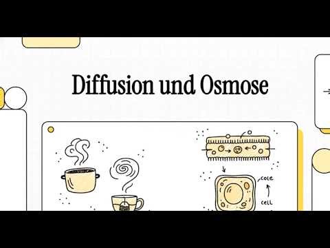 Chemie ( Diffusion & Osmose )