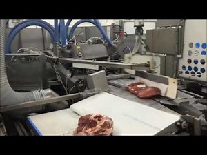 Cryovac rotary vacuum packaging line - VanZutphenBV