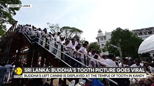 10K views · 104 reactions | #SriLanka: Buddha's tooth picture goes viral despite photography of the sacred relic being strictly prohibited Authorities are now probing the authenticity of the picture Shivan Chanana brings you this report | WION | Facebook