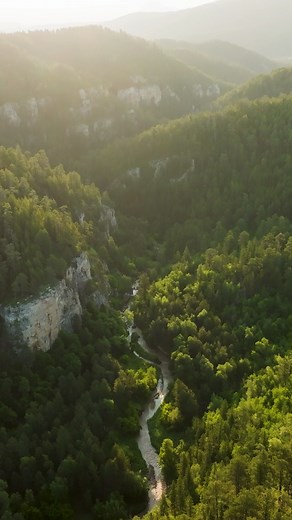 This place is a gold mine!...literally. Red X Mine is a 50 /- acre property just outside Deadwood, SD with as much character and history to match the value. The diverse habitat the Black Hills are known for of thick forests, rolling hills, rocky caverns and flowing creeks are abundant on this unique property. With both investment and recreational value rarely available in this region to this level, Red X Mine is a special opportunity to enjoy the outdoors and grow your portfolio with excellent i