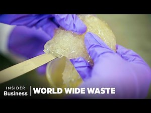 Can Indian Seaweed Replace Plastic? | World Wide Waste | Business Insider