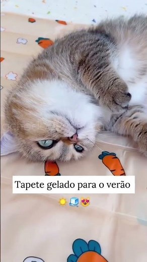 🐾💙 Mais conforto, menos calor: tapete gelado para seu pet