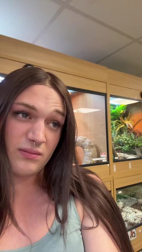 Understanding Proper Care for Baby Corn Snakes