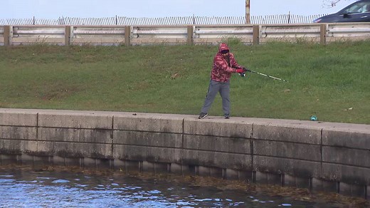Snagging is banned in many states, but not in Illinois, where fishermen can catch salmon in Chicago harbors using the controversial technique from October through December. #ChicagoTonight | WTTW - Chicago PBS