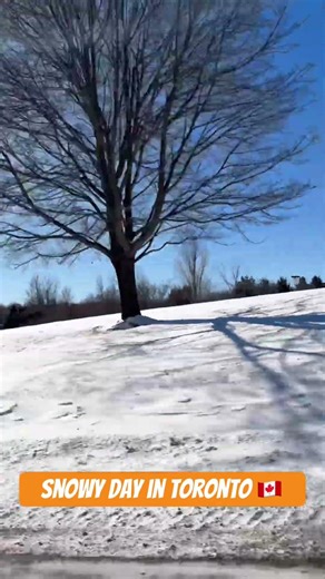 Snowy Day in Toronto🇨🇦 #Shorts #viral #toronto #canada #winter #youtubeshorts