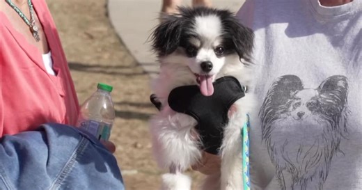 Blair community celebrates the grand opening of the new Mandy Jo Rounds Memorial Dog Park