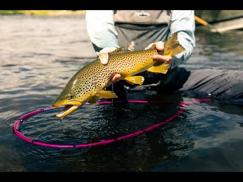 Land Every Fish with North Fork Nets – Handmade, Rugged, Fish-Friendly