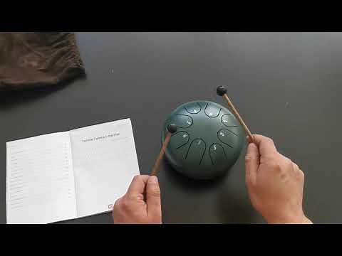 Markus - Kundenvideo von der 6 Zoll Zungentrommel