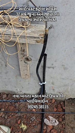 Sai Pest Control Service on Instagram: "સાંઈ પેસ્ટ કંટ્રોલ 99245 38115 #saipestcontrol #viral #share #suratcity #terminator"