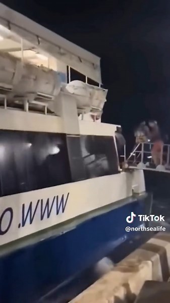 Terrifying Capsized Cruise Ship Caught in Scary North Sea Waves