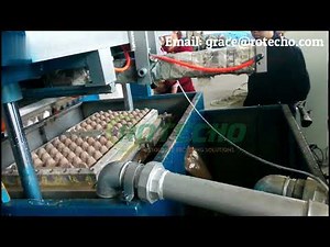Small Scale Paper Recycling Business Idea | Egg Tray Making Machine