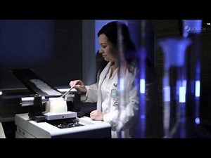 A Three-Dimensional Atlas of the Brain