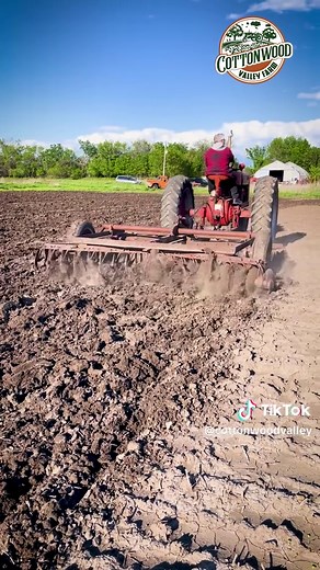 Preparing Fields for Vegetable Production with Farmall M