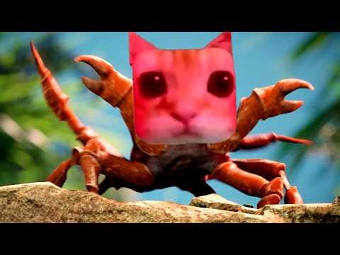 Miaustorm - Gatito Rave