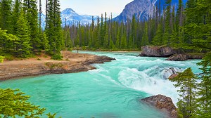 Have you seen Yoho’s mountains from this view?